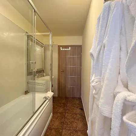 Apartment Thea Timisoara