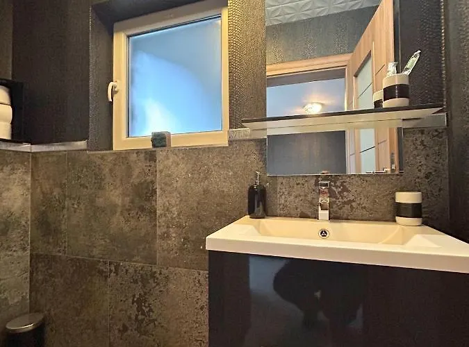 Apartment Thea Timisoara