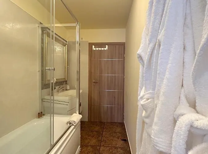 Apartment Thea Timisoara